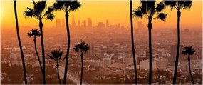 Obraz - Panorama Los Angeles (120x50 cm)