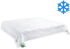 Brotex Prikrývka Aloe Vera zimná 220x200cm 1980g