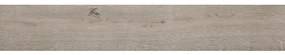 Dlažba imitácia dreva Ash 20x120 cm