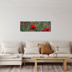 Obraz - Lúka s vlčími makmi (s hodinami) (90x30 cm)
