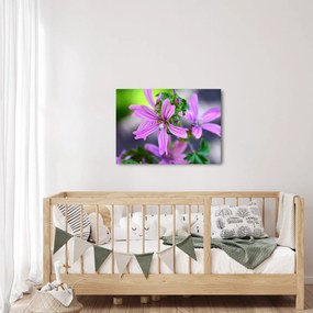 Detailný obraz kvetiny (70x50 cm)