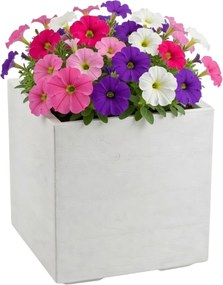 Květináč na kolečkách BETONIQUE 40x40 cm krémový