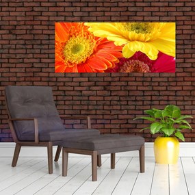 Obraz - Kvety Gerbery (120x50 cm)