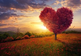 Fototapeta - Strom v tvare srdca (147x102 cm)