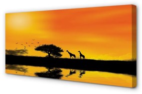 Obraz canvas Žirafy tree west lake 125x50 cm