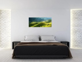 Obraz - Koncert ryžových terás (120x50 cm)