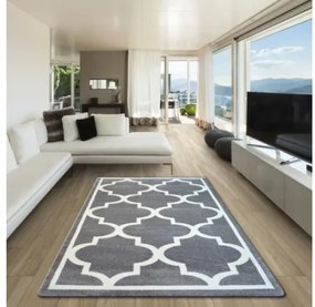 Koberec SKETCH - F730 sivo / biely trellis