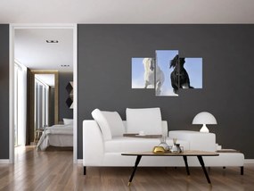 Obraz - Kone v zime (90x60 cm)