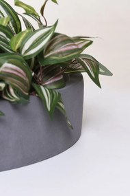 Miska na dekorácie CIRCULO, sklolaminát, Ø 50 cm, sivá