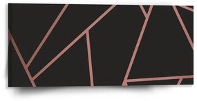 Sablio Obraz Ružové obrazce - 110x50 cm
