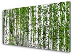 Obraz na akrylátovom skle Breza les stromy príroda 140x70 cm