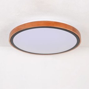 Globo 41764-24 - LED Stropné svietidlo BRUNO LED/24W/230V 437mm 3000/4500/6000K