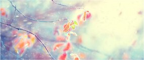 Obraz - Lístky v ľade (120x50 cm)