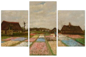 Obraz - Vincent van Gogh, Flower Beds in Holland, reprodukcia (90x60 cm)