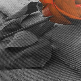 Obraz - Oranžová ruža (120x50 cm)