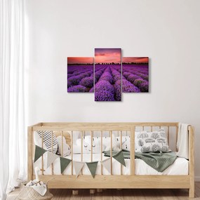Obraz - Levanduľové pole (90x60 cm)