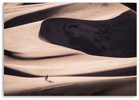 Gario Obraz na plátne Púšť Rozmery: 60 x 40 cm