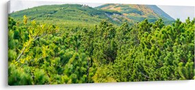 Obraz - Babi Hora, Poľsko (120x50 cm)