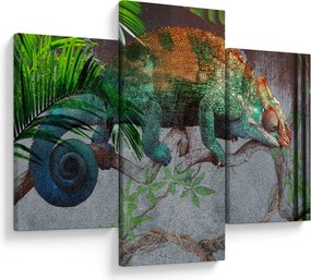 Obraz - Chameleon (90x60 cm)