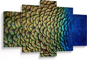 Obraz - Pávie perie (150x105 cm)