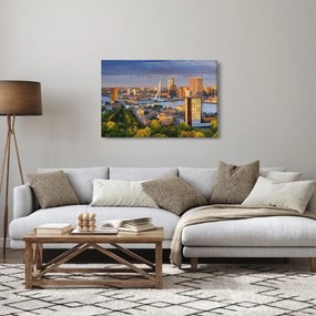 Obraz - Panorama Rotterdamu, Holandsko (90x60 cm)