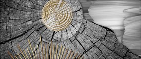 Obraz - Kmeň stromu v koláži (120x50 cm)