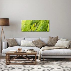 Obraz hada (120x50 cm)