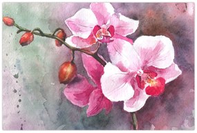 Obraz - Orchidey, aquarel (90x60 cm)