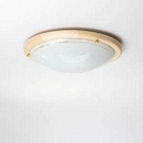 Rabalux 5421 - Stropné svietidlo UFO 2xE27/60W/230V