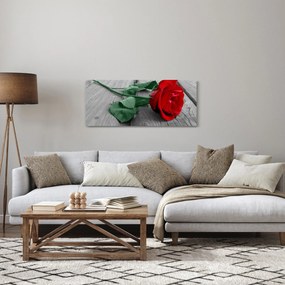Obraz - Červená ruža so zelenou stonkou (120x50 cm)