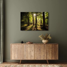Obraz snového lesa (90x60 cm)