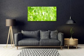 Obraz na skle Listy príroda 125x50 cm