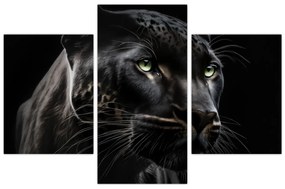 Obraz - Čierny panter (90x60 cm)