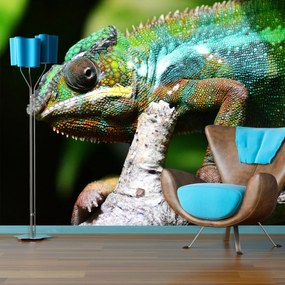 Sablio Tapeta Chameleón - 336x220 cm