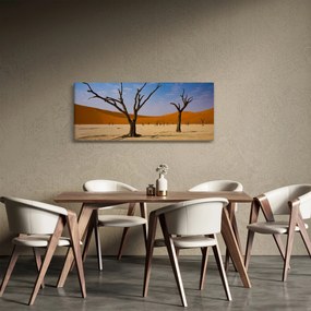 Obraz - Údolie smrti (120x50 cm)