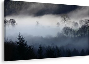 Obraz hmly nad lesom (90x60 cm)