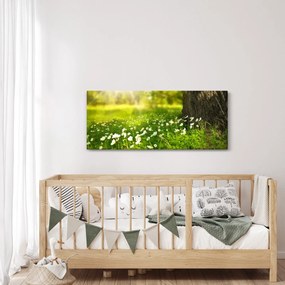 Obraz paseky a kvetín (120x50 cm)