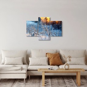 Obraz - Zimná lúka (90x60 cm)