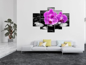Obraz - Fialové orchidey (150x105 cm)