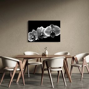 Obraz kvetu orchidey (90x60 cm)