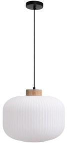 Toolight Toolight, stropné svietidlo zo skla 1xE27, biela, OSW-04412