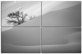 Obraz na plátne - Červené piesočné duny 1133QE (120x80 cm)