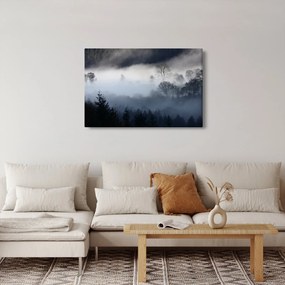 Obraz hmly nad lesom (90x60 cm)