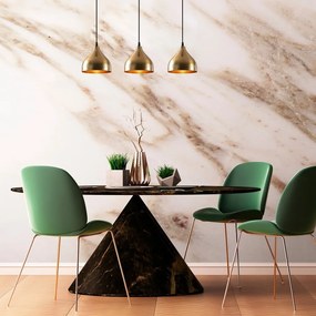 Závesné svietidlo v čierno-zlatej farbe s kovovým tienidlom Tattoo – Opviq lights