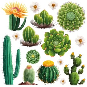 Samolepiaca dekorácia Cactus, 30 x 30 cm