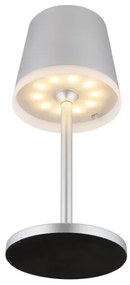 Globo 36637SM - LED Solárne svietidlo LED/0,6W/3V 3000K IP44 matný chróm