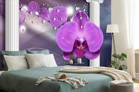 Tapeta orchidea pri gréckych stĺpoch