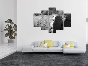 Obraz - Slonia noha (150x105 cm)