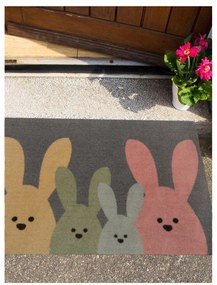 Hanse Home, Protišmyková rohožka Printy 104452 Grey, Multicolor, 40x60, viacfarebná, chodba / predsieň