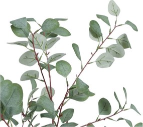 Umelý eukalyptus (výška 180 cm) Eucalyptus – Ixia